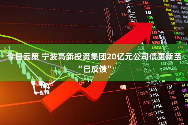 今日云策 宁波高新投资集团20亿元公司债更新至“已反馈”