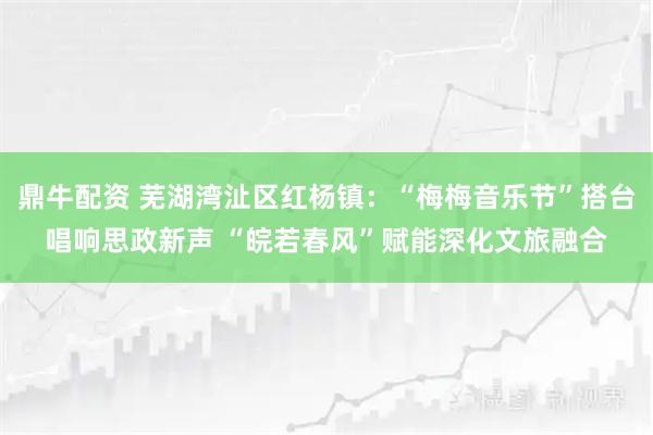 鼎牛配资 芜湖湾沚区红杨镇：“梅梅音乐节”搭台唱响思政新声 “皖若春风”赋能深化文旅融合