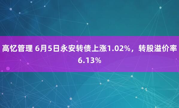 高忆管理 6月5日永安转债上涨1.02%，转股溢价率6.13%