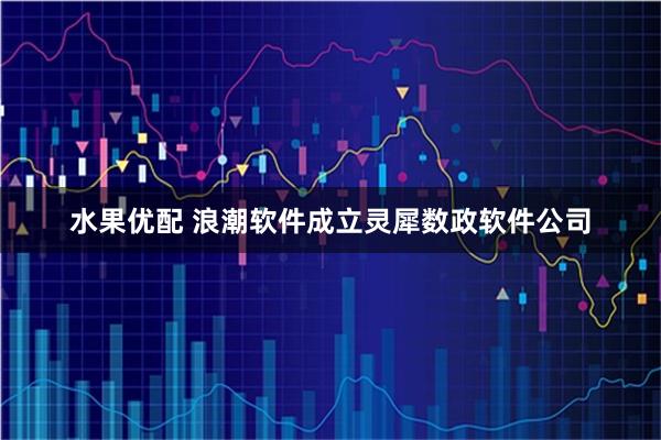 水果优配 浪潮软件成立灵犀数政软件公司